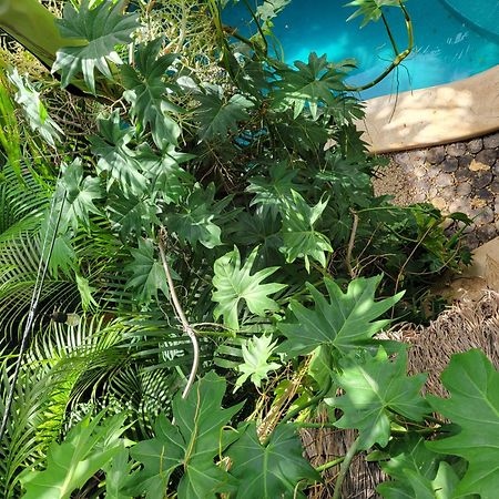 The Secret Garden Tulum Lejlighed Eksteriør billede