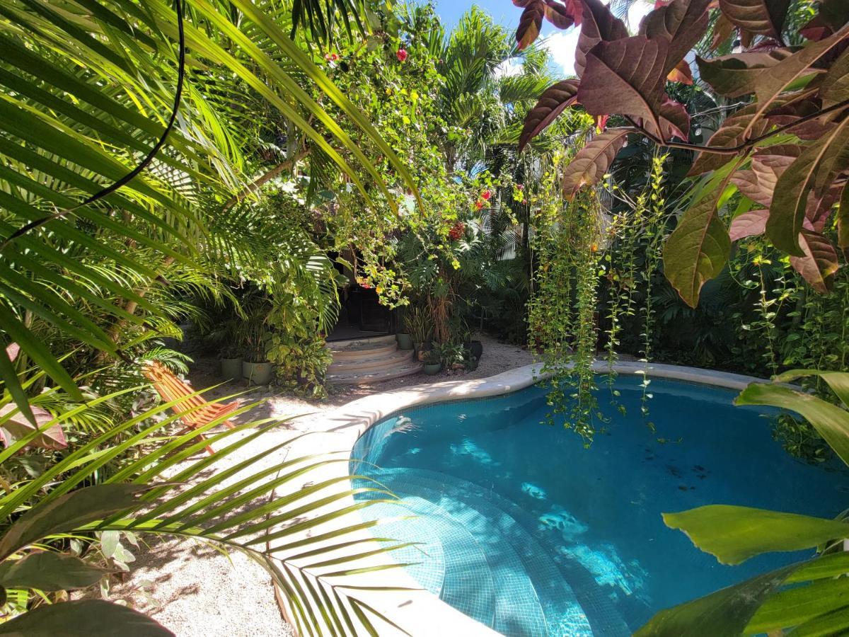 The Secret Garden Tulum Lejlighed Eksteriør billede