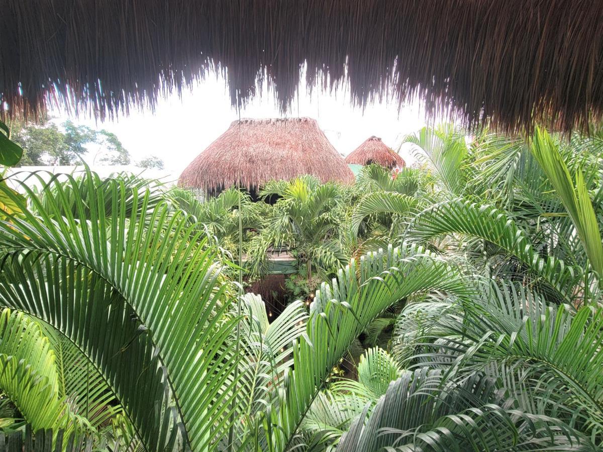 The Secret Garden Tulum Lejlighed Eksteriør billede