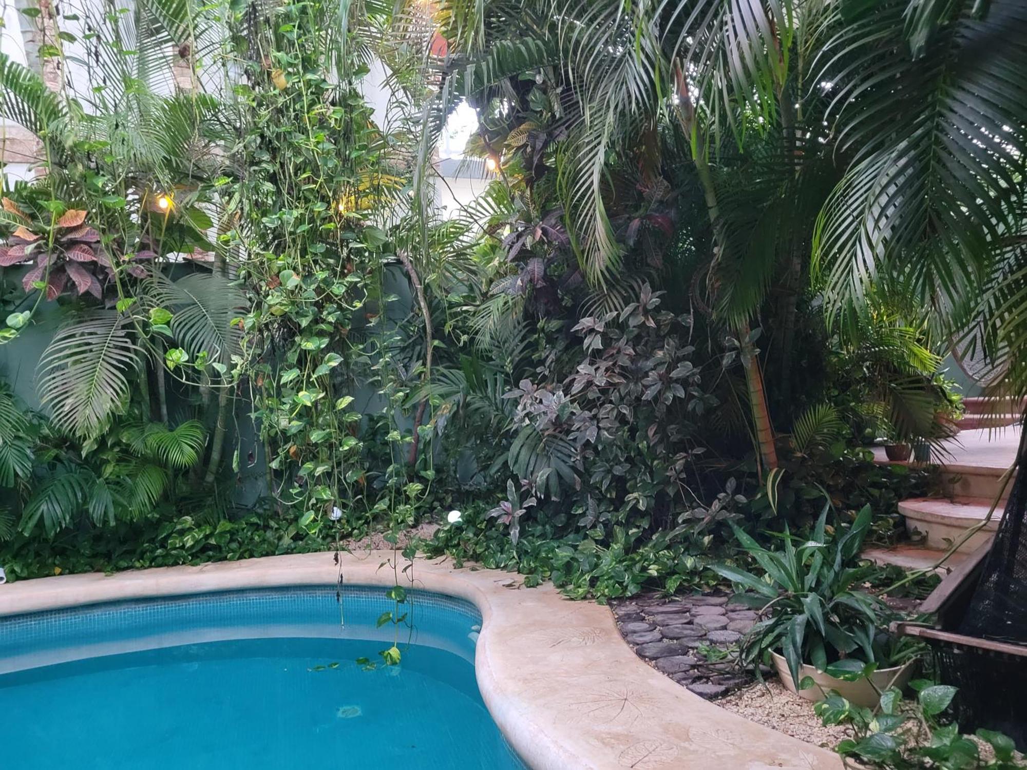 The Secret Garden Tulum Lejlighed Eksteriør billede