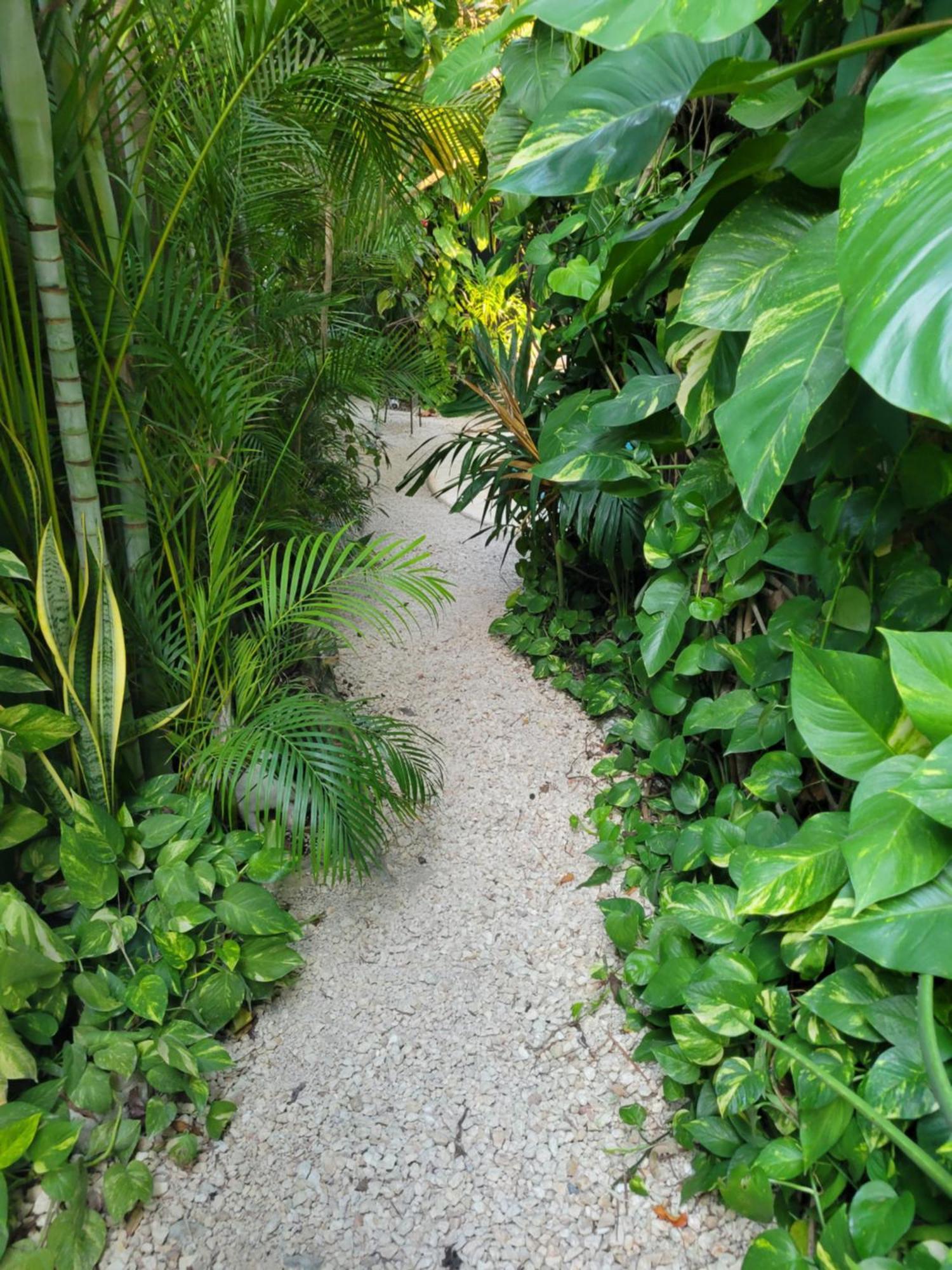 The Secret Garden Tulum Lejlighed Eksteriør billede