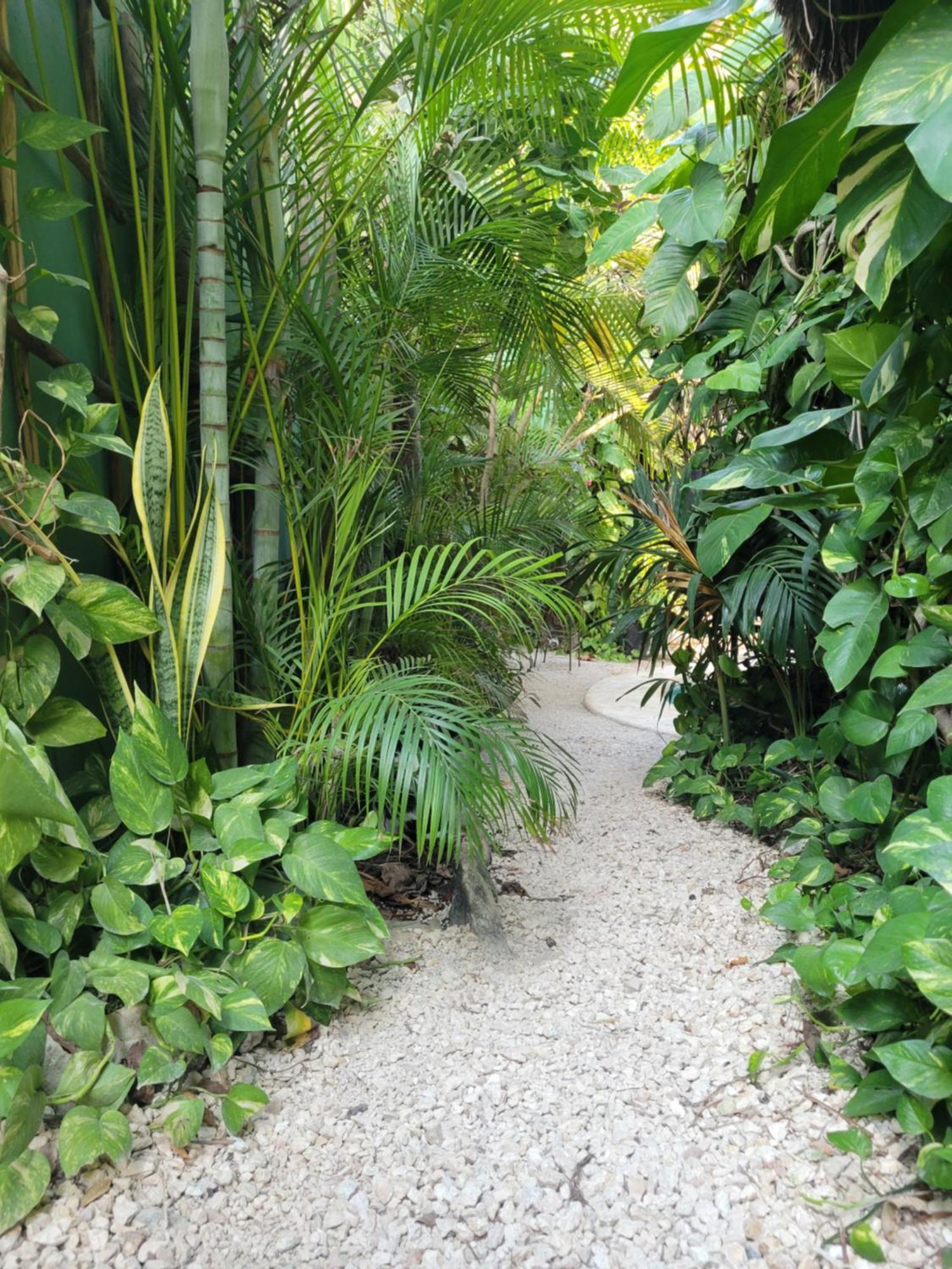 The Secret Garden Tulum Lejlighed Eksteriør billede
