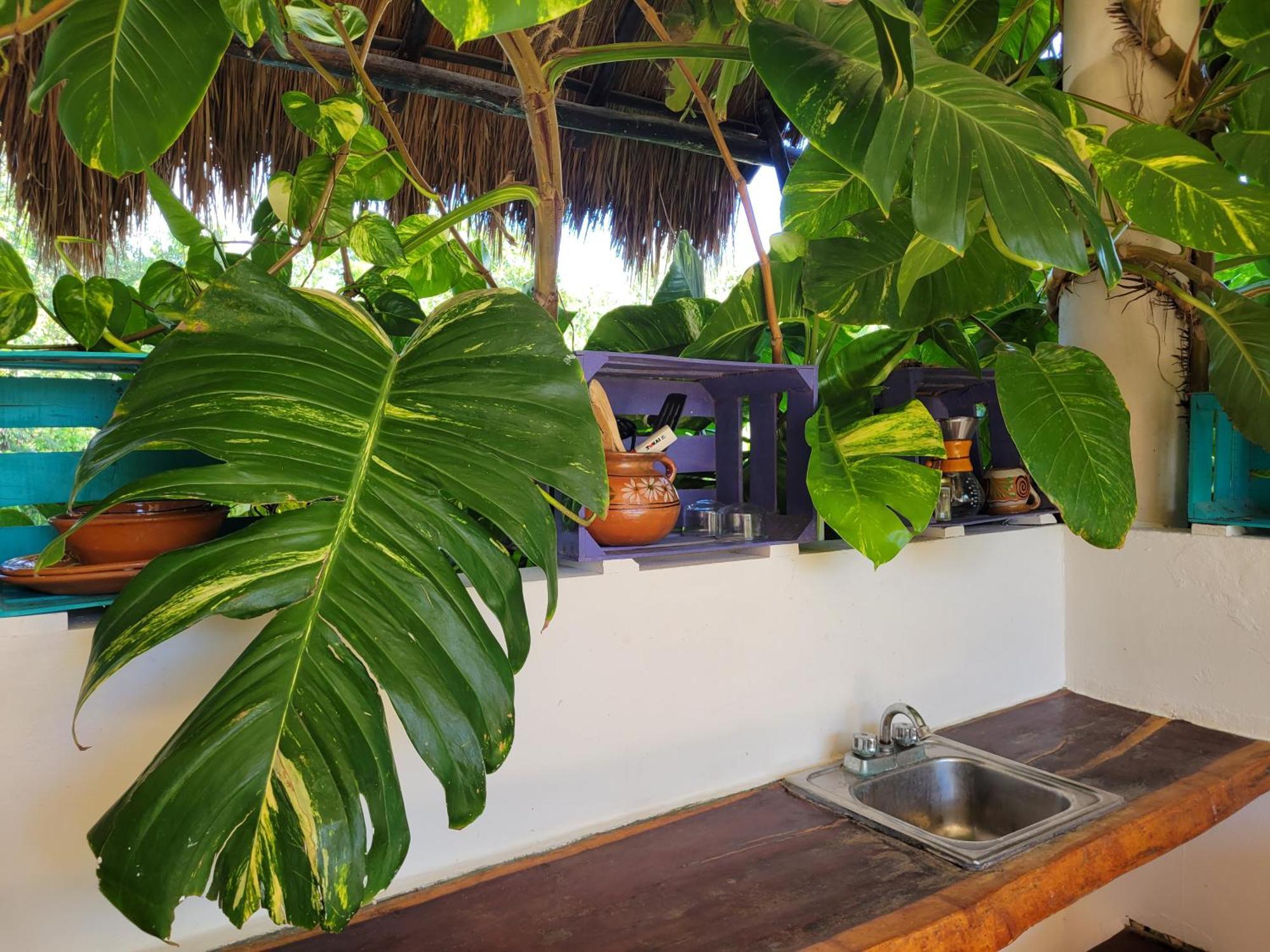The Secret Garden Tulum Lejlighed Eksteriør billede