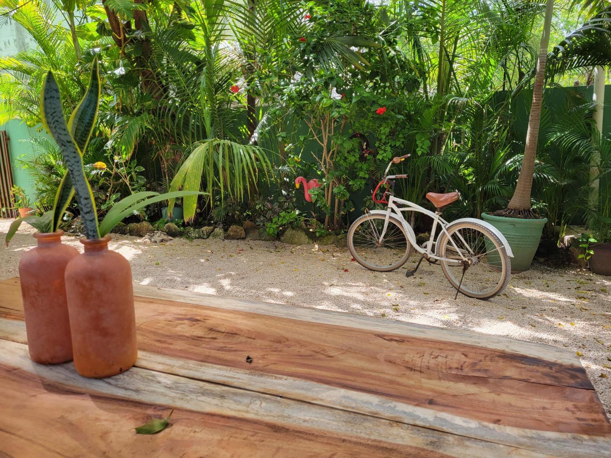 The Secret Garden Tulum Lejlighed Eksteriør billede